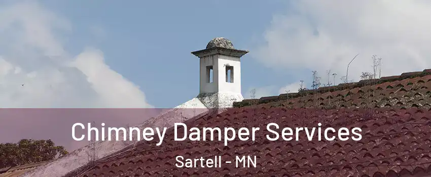  Chimney Damper Services Sartell - MN