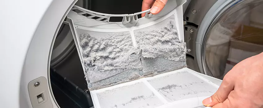 Best Dryer Lint Removal Company in Sartell, Minnesota