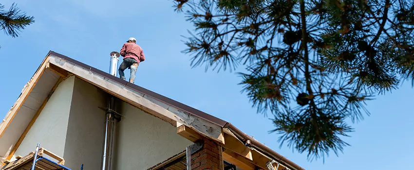 Birds Removal Contractors from Chimney in Sartell, MN